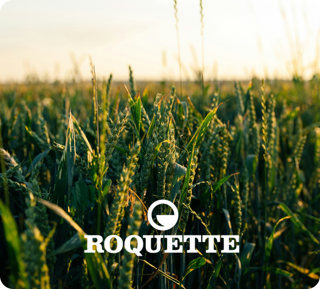 Roquette